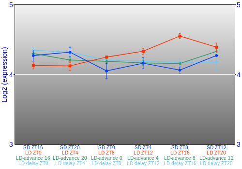 Expression graph