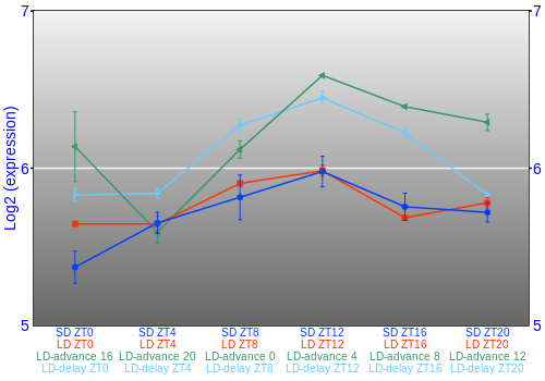 Expression graph