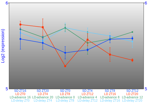 Expression graph