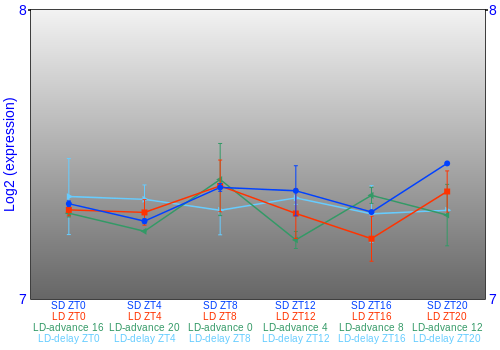 Expression graph