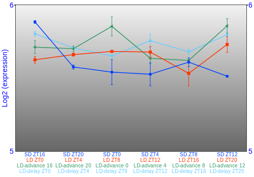 Expression graph