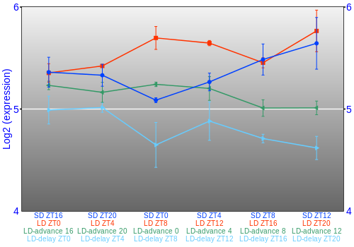 Expression graph