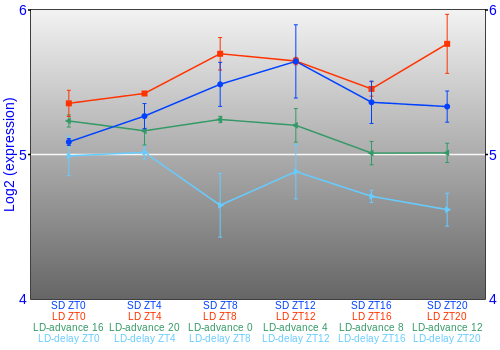 Expression graph