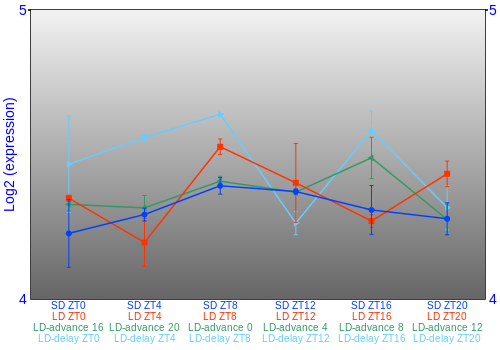 Expression graph
