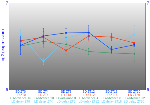 Expression graph