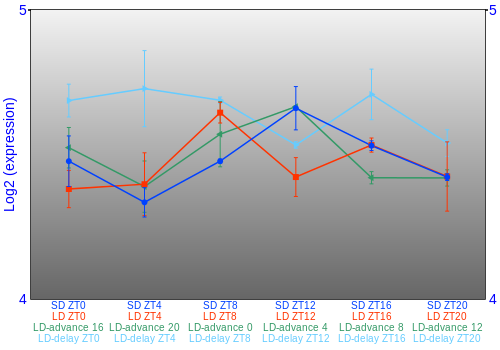 Expression graph