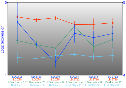 Expression graph