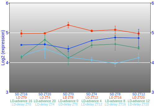 Expression graph