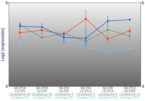 Expression graph