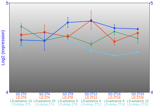Expression graph