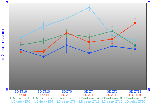 Expression graph