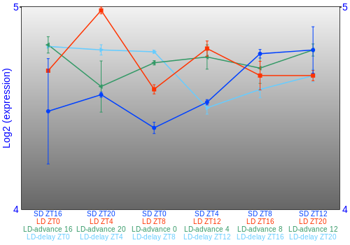 Expression graph