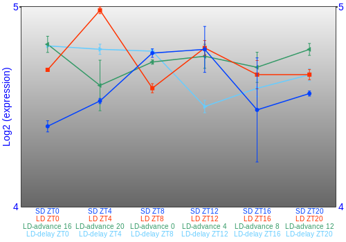 Expression graph