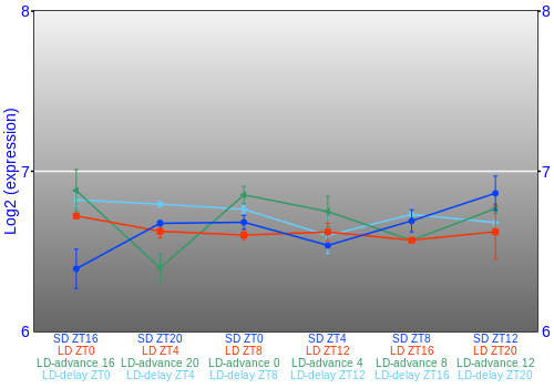 Expression graph