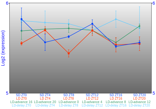 Expression graph