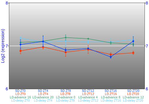 Expression graph