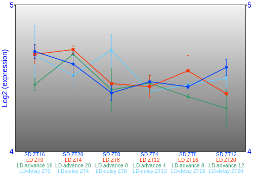 Expression graph