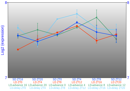 Expression graph
