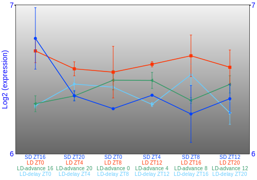 Expression graph