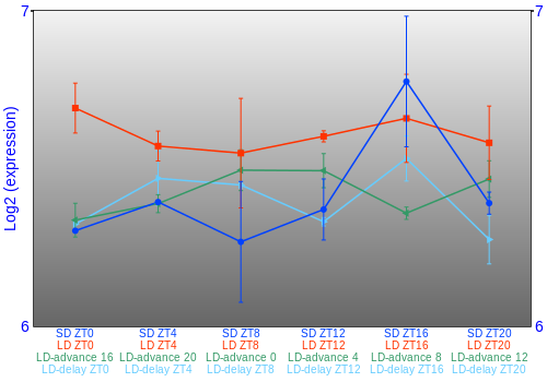 Expression graph