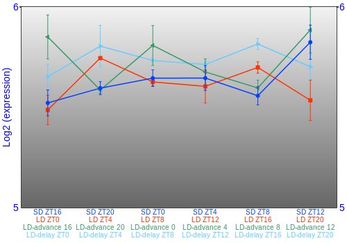 Expression graph
