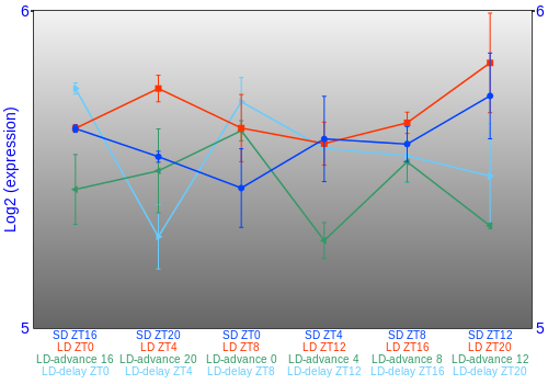 Expression graph