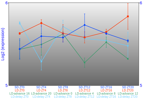 Expression graph