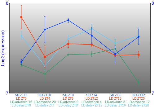 Expression graph