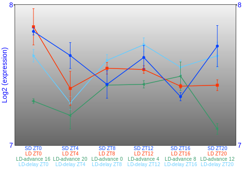 Expression graph