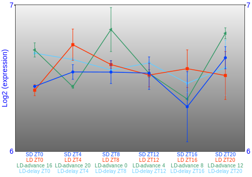 Expression graph