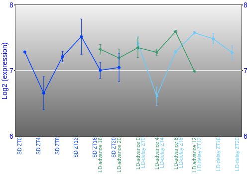 Expression graph