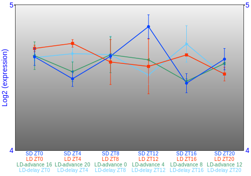 Expression graph
