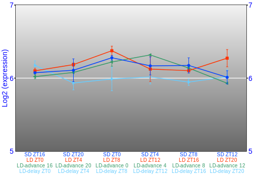 Expression graph