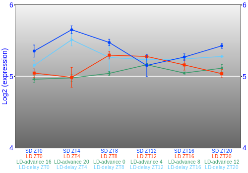 Expression graph