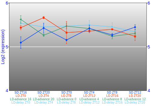 Expression graph