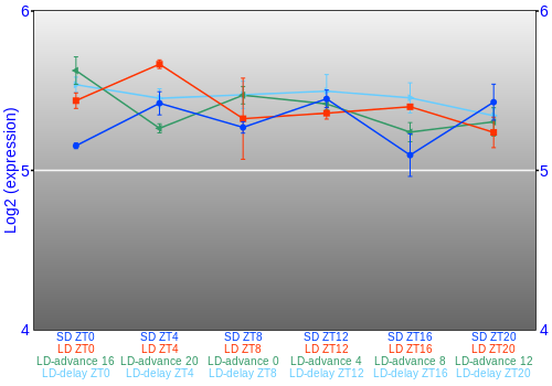 Expression graph