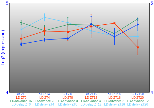 Expression graph