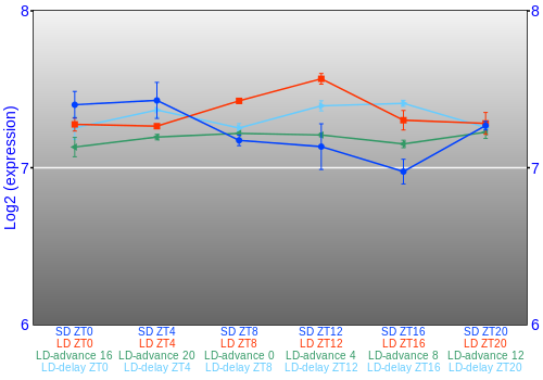 Expression graph