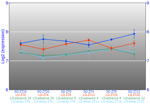 Expression graph