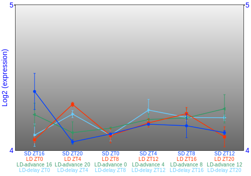 Expression graph