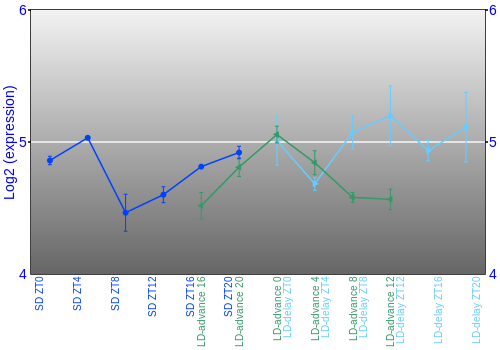 Expression graph