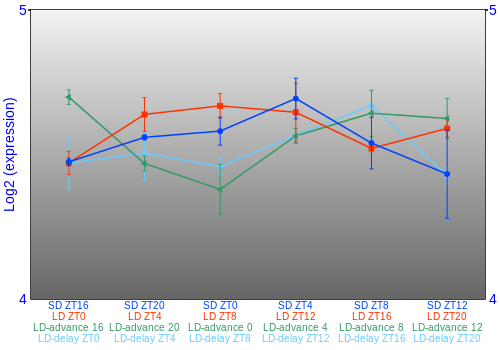 Expression graph