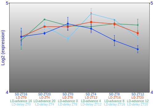 Expression graph