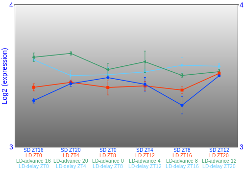 Expression graph