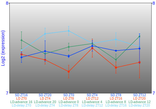 Expression graph