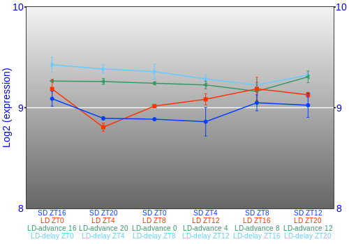 Expression graph