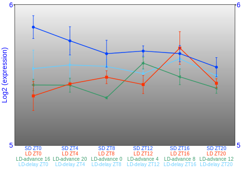 Expression graph