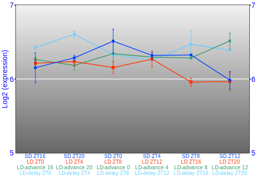 Expression graph