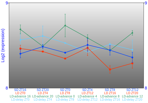 Expression graph