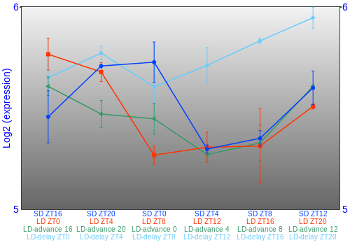 Expression graph